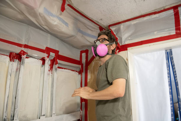 Professional Mold Removal in Denver City, TX