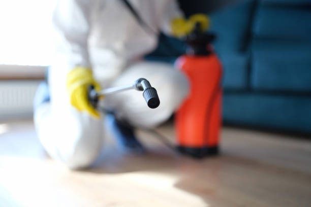Best Residential Mold Inspection & Testing  in Denver City, TX